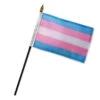 Transgender 4" X 6" Stick Flag