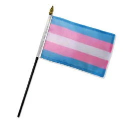 Transgender 4" X 6" Stick Flag