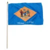 Delaware Flag 12 X 18 Inch