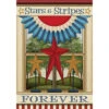 Carson Patriotic Banner Flag - Stars & Stripes Forever - 28in X 40in