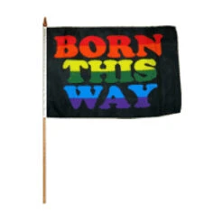 Born This Way Flag 12in X 18in Stick Flag