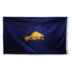 Oregon Flag 3 X 5 Feet Double-sided Polyester -United States Flag Shop ffnzb93o4het4pzpu9pf 91653.1682137173