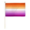 Lesbian Sunset Flag 12in X 18in Stick Flag