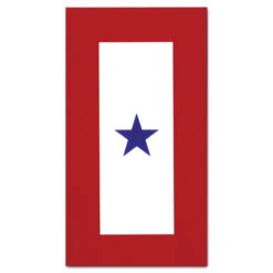 Service Star Magnet
