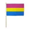 Pansexual 12" X 18" Stick Flag