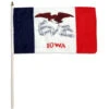 Iowa Flag 12 X 18 Inch