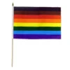 Philly Rainbow Flag 12in X 18in Stick Flag