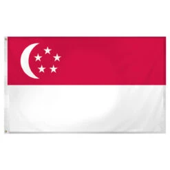 Singapore 3ft X 5ft Super Knit Polyester