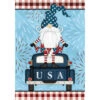 Carson Patriotic Banner Flag - Patriotic Gnome - 28in X 40in