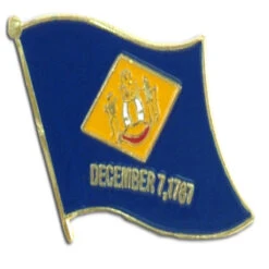 Delaware Flag Lapel Pin - 3/4" X 1/2"