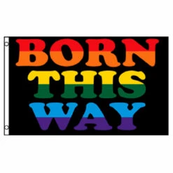 Born This Way Flag 3ft X 5ft Printed Polyester