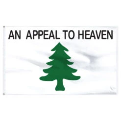 2ft X 3ft Washington Cruisers Nylon Flag