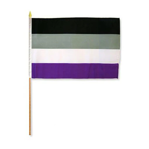Asexual 12" X 18" Stick Flag -United States Flag Shop vf23snn8c0t5hz6bhdn5 62587.1683126353