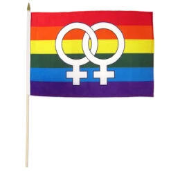 Double Venus Rainbow Flag 12in X 18in Stick Flag